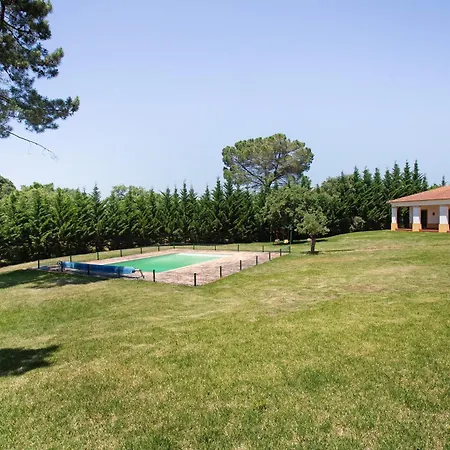 Quinta Centieira-scalab Wine Estate فيلة Santarém