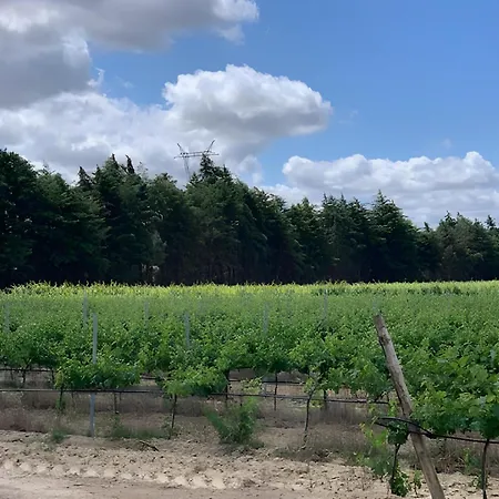 Quinta Centieira-scalab Wine Estate فيلة *