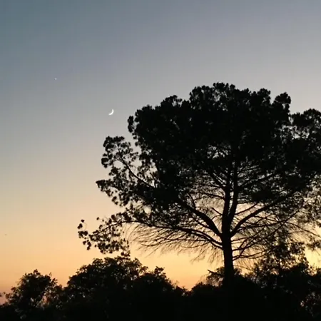 فيلة Quinta Centieira-scalab Wine Estate *