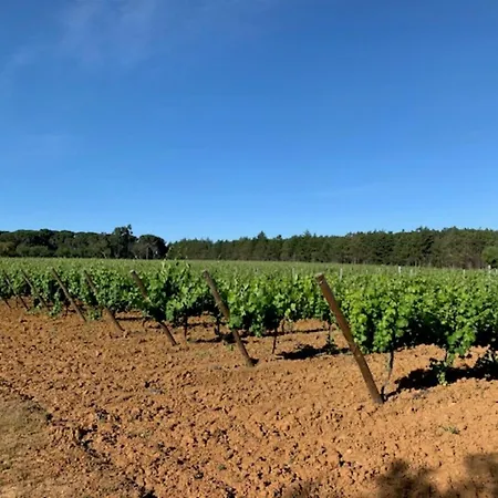 Quinta Centieira-scalab Wine Estate * Santarém