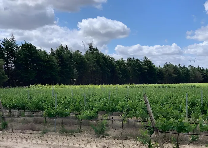 Quinta Centieira-scalab Wine Estate فيلة *
