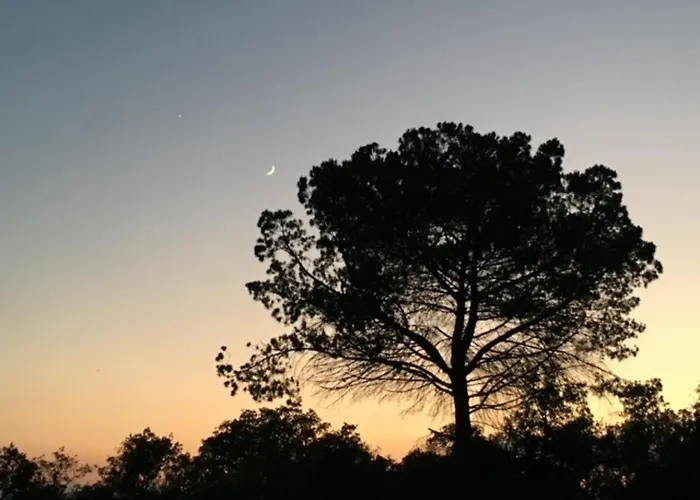 Villa Quinta Centieira-scalab Wine Estate *