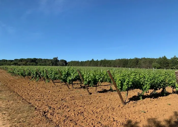Quinta Centieira-scalab Wine Estate Villa